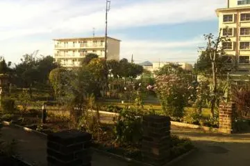 Takasaki park/Takasaki Koen