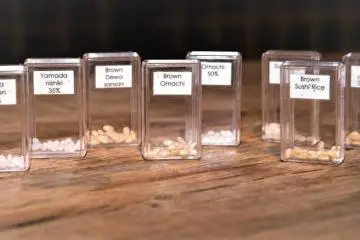 Sake Classification