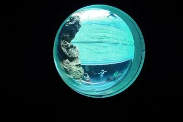 Aquas circular window (Photo: <a href="http://www.gethiroshima.com" target="_blank" rel="noreferrer noopener nofollow">gethiroshima</a>)