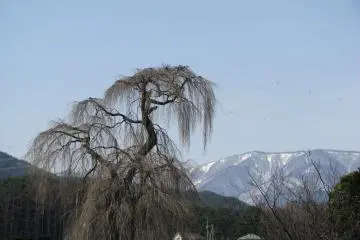 Nagano Countryside