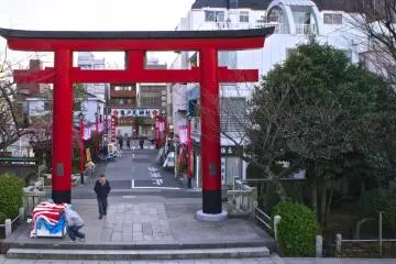 Gallery image
