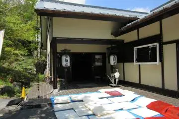 Nikko Town and Nikko Tokanso Ryokan