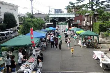 Gallery image