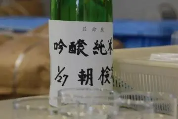 Freshly squeezed sake with an alcohol content of 18% before dilution. (Photo: Yu Ito)
