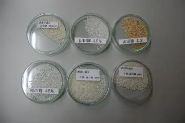 Sake rice at varied states of polishing (Photo: Yu Ito)