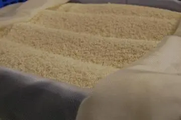 Rice turning into koji during the fermenting process at Nabedana (Photo: Yu Ito)