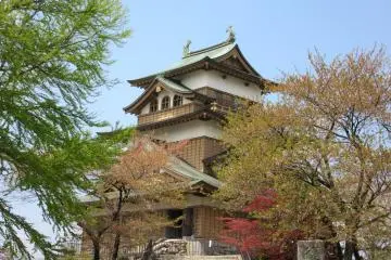 Gallery image