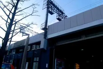 View from below