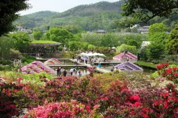 Ashikaga Flower Park in the Spring