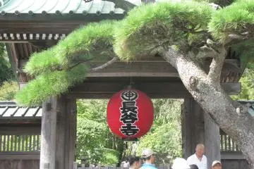 Kamakura Walks