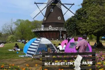 Tulips and a Dutch windmill (Photo: Olga Kaneda)