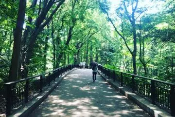 Rinshi No Mori Park
