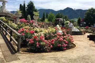 Kofu Valley's Herb & Rose Garden