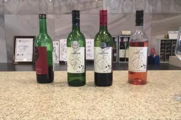 Katsunuma Marquis Winery