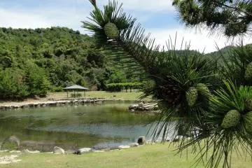 pond (Photo: <a href="http://www.gethiroshima.com" target="_blank" rel="noreferrer noopener nofollow">gethiroshima</a>)