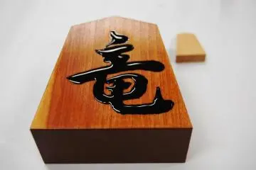 Shogi Time at Tendo Town
