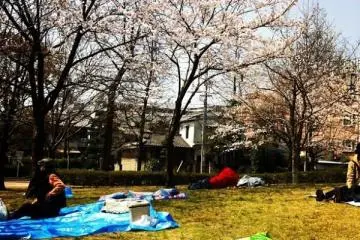 Senda Park