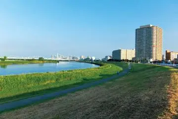 Tama River
