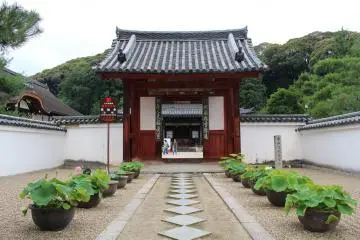 The Hidden Treasures of Japan
