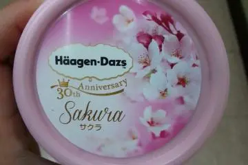 Häagen-Dazs Ice Cream