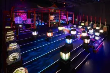 Art Aquarium 2017