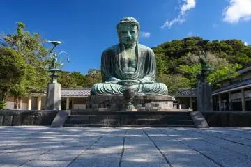 Photo: Various images / Shutterstock.com
