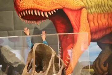 The Ehime Prefectural Science Museum is a scream! (Photo: Laura MacLean)