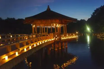 Travel back in history while attending this beautiful illumination (Photo: Manish)