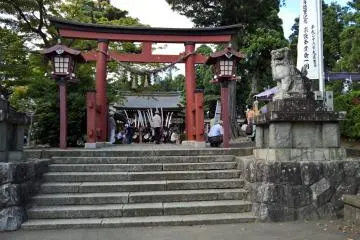 Gallery image