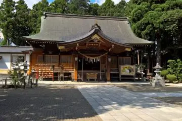 Gallery image