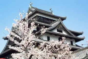 Matsue Castle (Photo: Shimane prefecture)