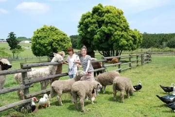 Hands-on animal experience (Photo: Mother Farm)