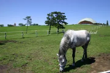 This horse is outstanding in his field (Photo: Mother Farm)