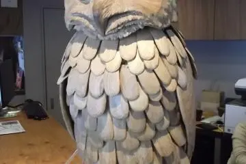 Wise Owls Hostel in Shibuya