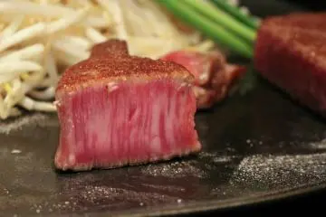 Teppanyaki Ittetsu [Fermé]