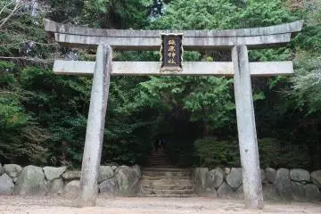 Gallery image