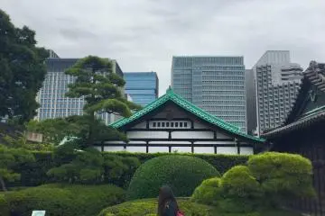 Amazing Japan