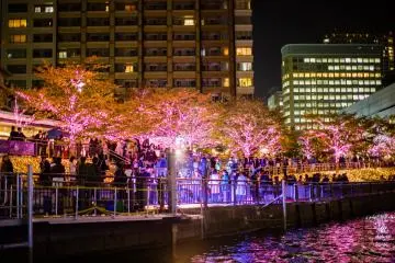 Shinagawa Illuminations