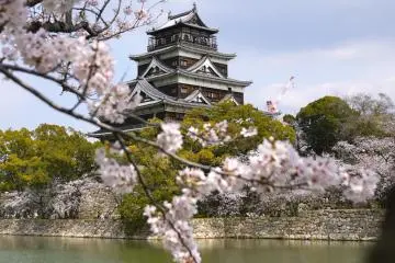 Sakura Beauty in Hiroshima 