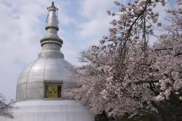 The peace pagoda is said to house some of Buddha's ashes (Photo: <a href="http://www.gethiroshima.com" target="_blank" rel="noreferrer noopener nofollow">gethiroshima</a>)