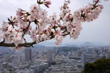 There are outstanding views from the peace pagoda over the city and out to the islands in the seto-naikai beyond (Photo: <a href="http://www.gethiroshima.com" target="_blank" rel="noreferrer noopener nofollow">gethiroshima</a>)