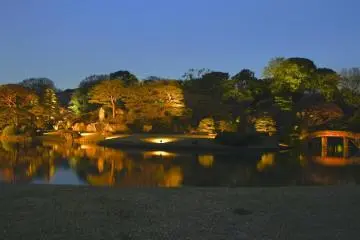 Rikugien Gardens light up (Photo: Manish)