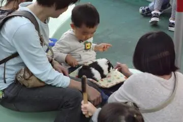 The park has a large petting zoo. (Photo: Tomoko Kamishima)