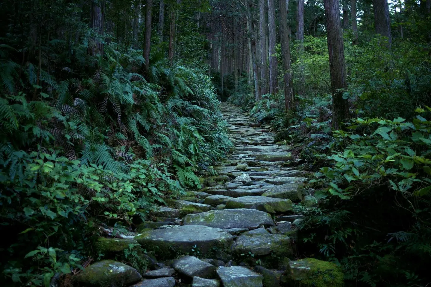 old mountain kakemono冬 Sage Green Kumano Kodo Iseji: Binshiyama and the Magose-Toge Pass - Wakayama