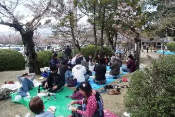 Kono Park, Saga