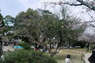 View of the park