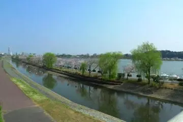 Lake Senba in Spring