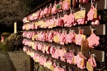 Sakuragi Shrine of Cherry Blossoms
