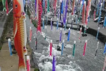 เทศกาลสายรุ้งปลาคาร์พที่ Tsuetate Onsen  2026