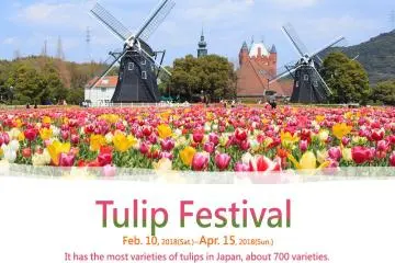 เทศกาลทิวลิป  Huis Ten Bosch 2027